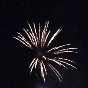 Meet your Posher, Chesney